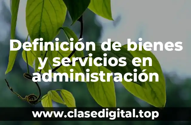 Definición técnica de bienes y servicios en administración