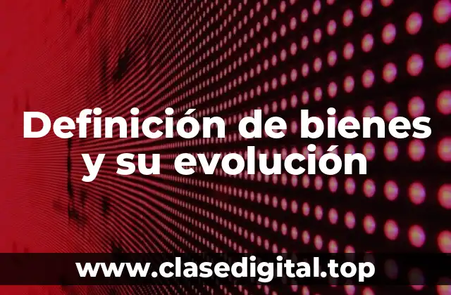 Definición de bienes y su evolución