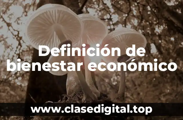 Definición técnica de bienestar económico