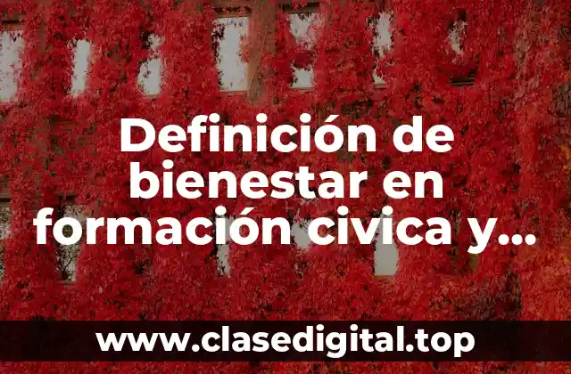 Definición de bienestar en formación civica y ética