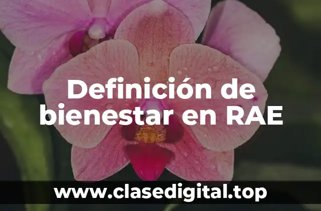 Definición de bienestar en RAE