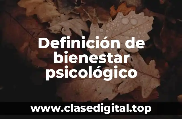 Definición técnica de bienestar psicológico