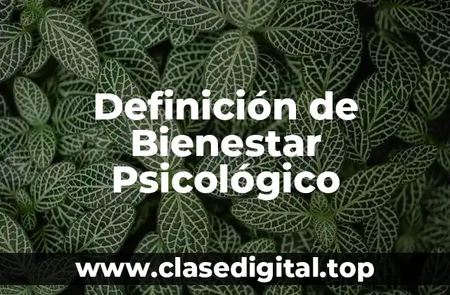 Definición de Bienestar Psicológico