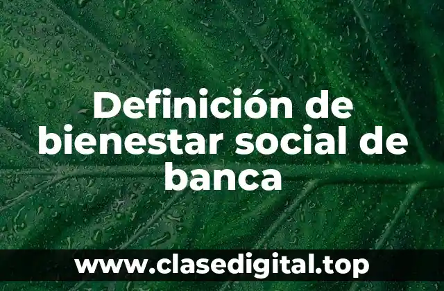 Definición de bienestar social de banca