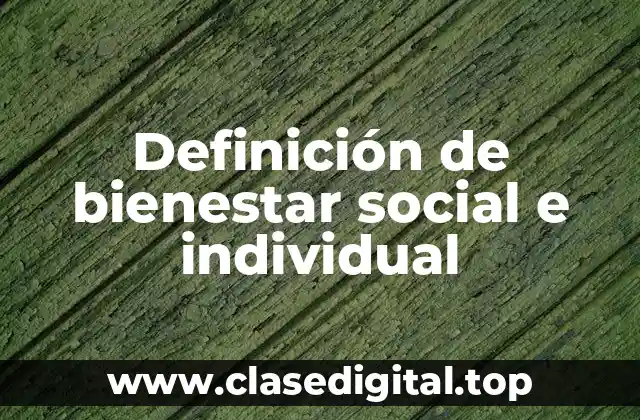 Definición de bienestar social e individual