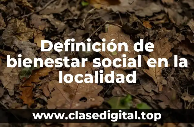 Definición de bienestar social en la localidad