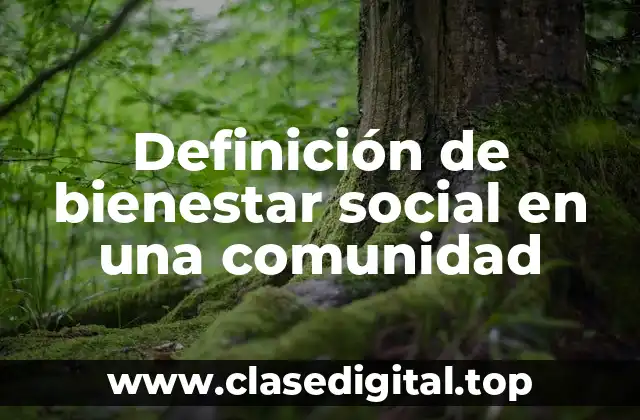Definición de bienestar social en una comunidad