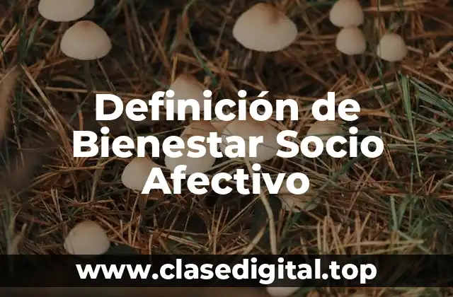 Definición de Bienestar Socio Afectivo