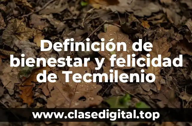 Definición de bienestar y felicidad de Tecmilenio