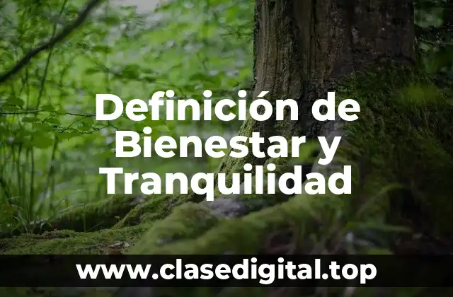 Definición de Bienestar y Tranquilidad