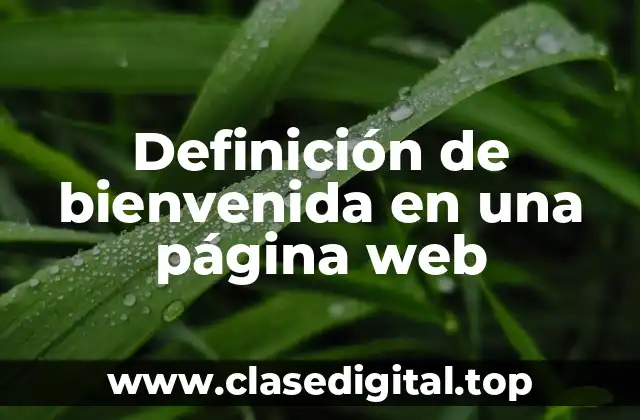 Definición de bienvenida en una página web