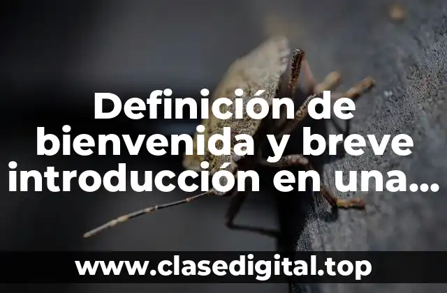 Definición de bienvenida y breve introducción en una encuesta