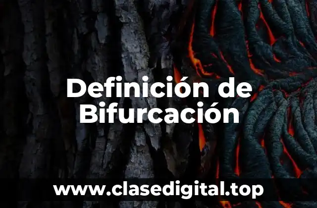 Ejemplos de bifurcación