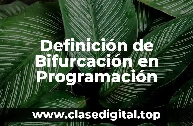 Definición de Bifurcación en Programación