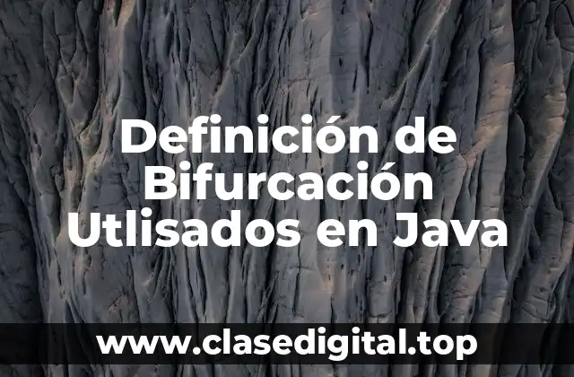 Definición de Bifurcación Utlisados en Java
