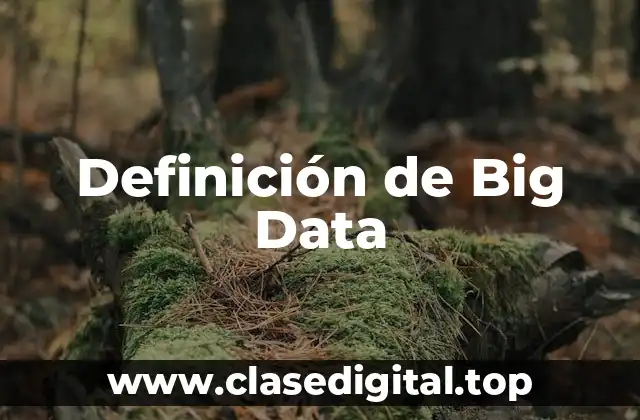 Definición de Big Data