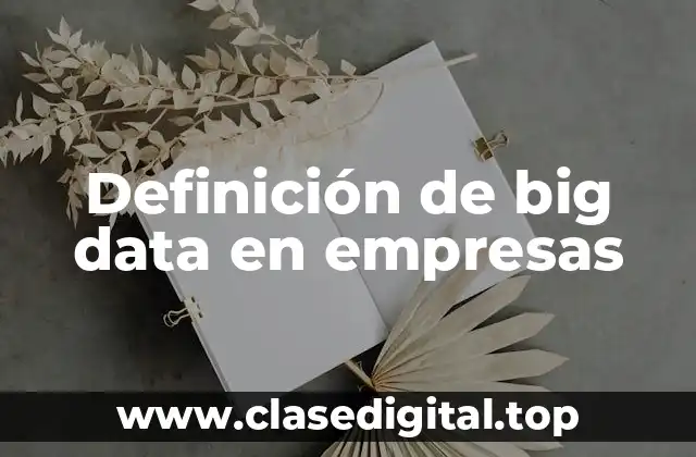 Definición de big data en empresas