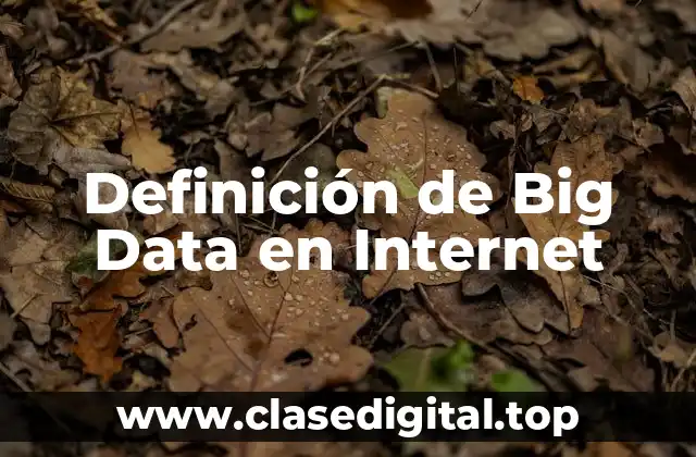 Definición de Big Data en Internet