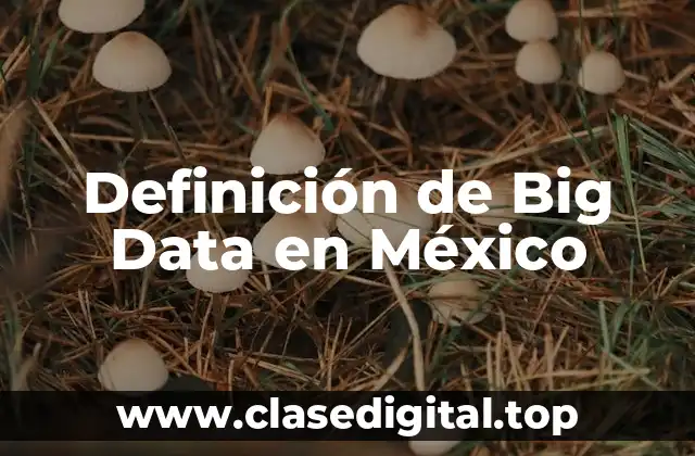 Definición de Big Data en México