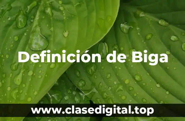 Definición técnica de biga