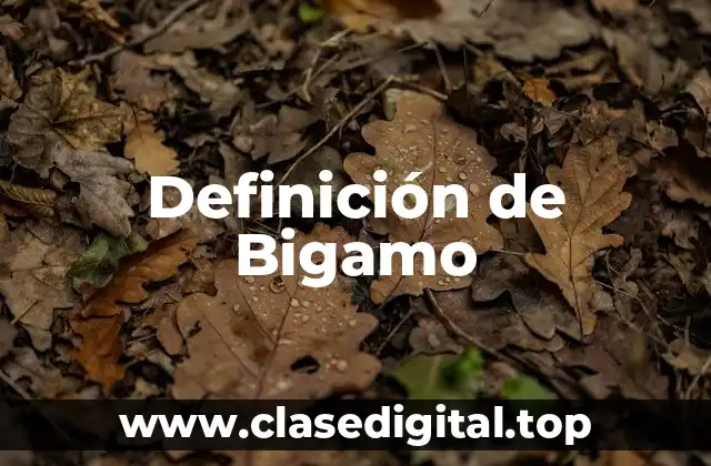 Definición de Bigamo
