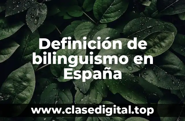 Definición de bilinguismo en España