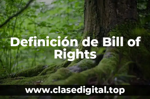 Definición de Bill of Rights