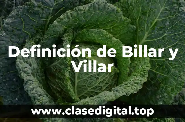 Definición de Billar y Villar