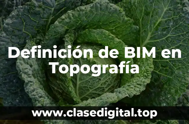 Definición de BIM en Topografía