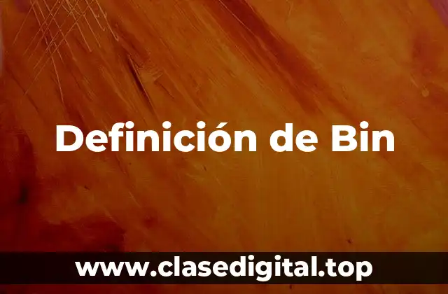 Definición de Bin