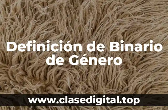 Definición de Binario de Género