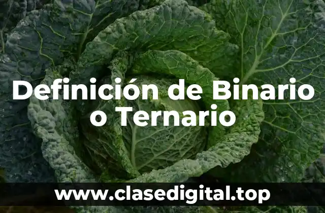 Definición de Binario o Ternario
