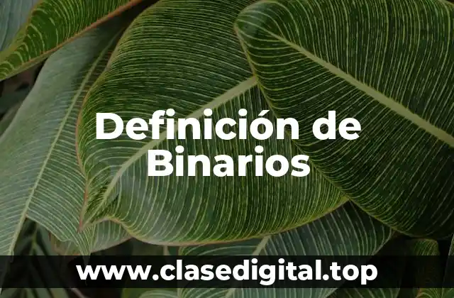 Definición técnica de Binario
