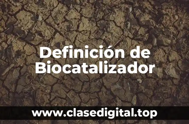 Definición de Biocatalizador