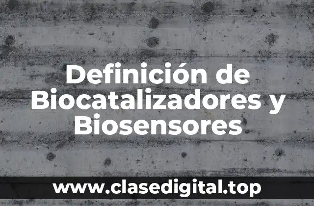 Definición técnica de Biocatalizadores