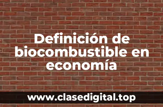 Definición de biocombustible en economía