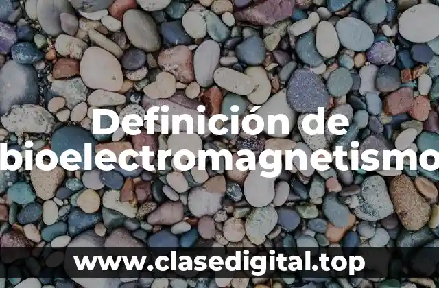 Definición de bioelectromagnetismo