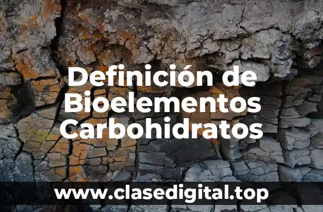 Definición de Bioelementos Carbohidratos