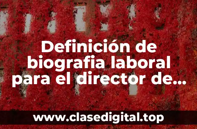 Definición de biografia laboral para el director de un daycare