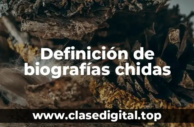 Definición de biografías chidas