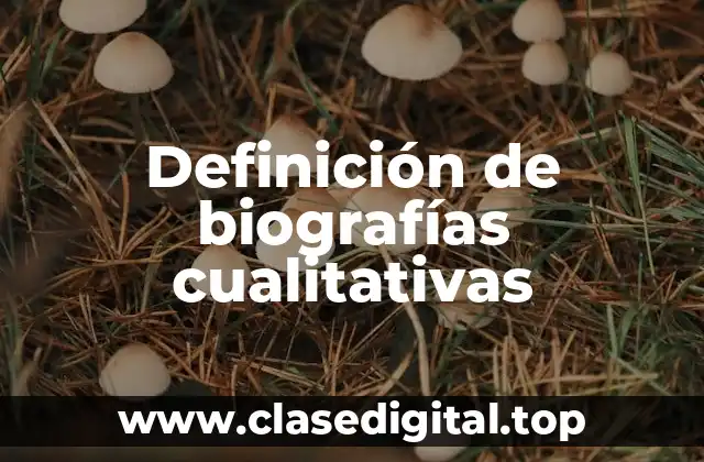 Definición de biografías cualitativas