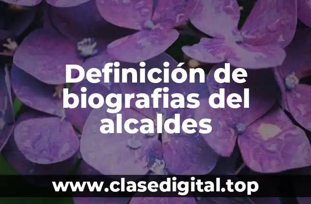 Definición de biografias del alcaldes