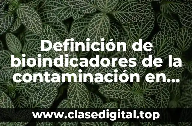 Definición de bioindicadores de la contaminación en Quintana Roo