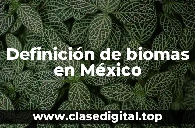 Definición de biomas en México