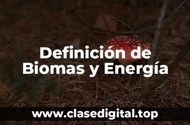 Definición de Biomas y Energía
