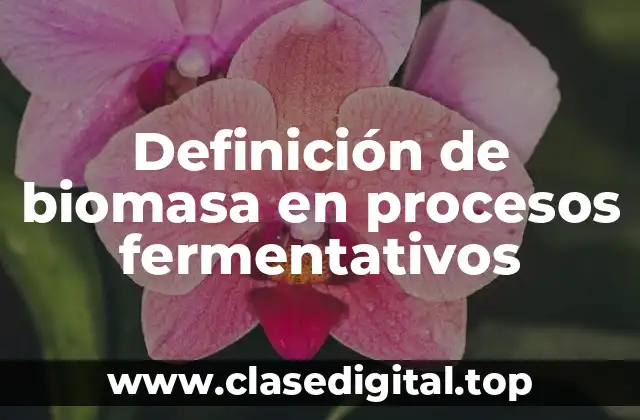 Definición de biomasa en procesos fermentativos