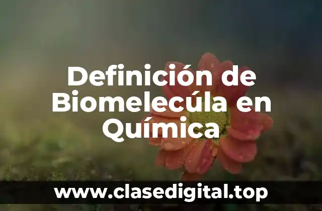 Definición de Biomelecúla en Química