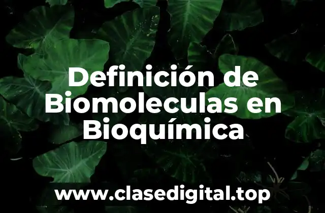Definición de Biomoleculas en Bioquímica