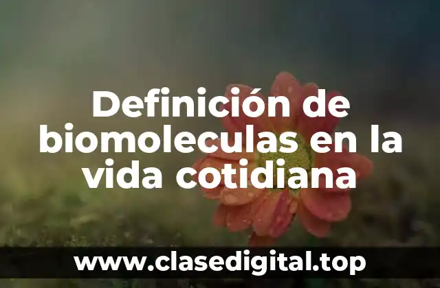 Definición de biomoleculas en la vida cotidiana