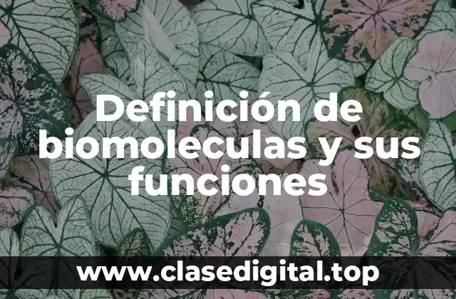 Definición de biomoleculas y sus funciones